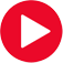 Video en vivo